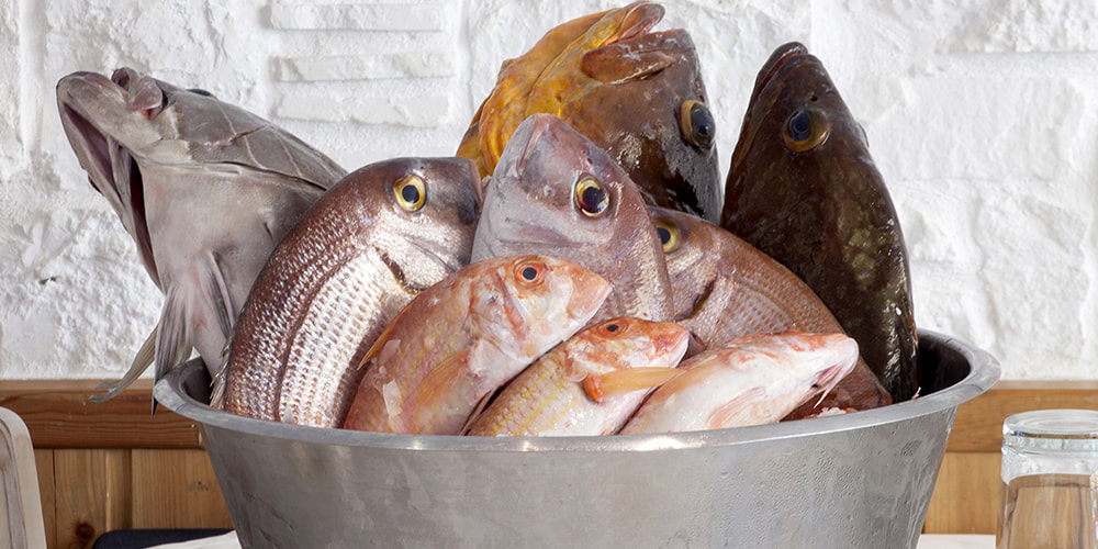 Ψάρια διαφόρων ειδών: από μπαρμπούνια και τονάκια μέχρι αστακούς και χταπόδια.